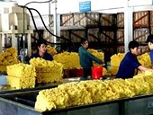 Trung Quốc đề xuất bỏ thuế NK cao su thiên nhiên: cơ hội lớn cho Việt Nam