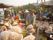 Xuất khẩu tôm chuyển hướng sang châu Á 