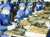 Lưu ý khi xuất khẩu hàng thực phẩm và đồ uống sang Hoa Kỳ