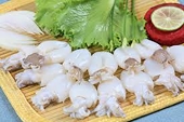 Xuất khẩu mực, bạch tuộc sang Canađa tăng đột biến 