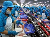 Canada - thị trường tiềm năng của thủy sản Việt Nam 