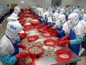 EU sẽ tiếp tục là nơi xuất khẩu hàng đầu của thủy sản VN 