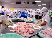 Xuất khẩu thủy sản tìm thị trường trọng tâm mới