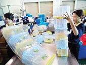 Ngành nhựa VN có cơ hội lớn để mở rộng xuất khẩu  