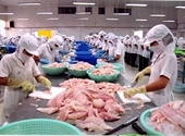 Việt Nam bị trả về 2,9 triệu đô la thủy sản xuất khẩu