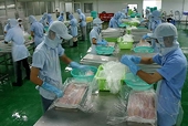 Bãi bỏ thuế bảo vệ môi trường đối với bao PE bao gói hàng xuất khẩu 