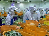 Chất lượng thủy sản Việt Nam tiếp tục được cải thiện