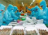 Mỹ là thị trường xuất khẩu thủy sản của Indonesia