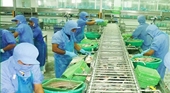 TRAVIFACO: Đã được phép XK cá vào Braxin 