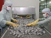 Tôm Việt Nam bị Mỹ áp thuế chống phá giá 1,25%