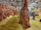 EU đẩy mạnh xúc tiến xuất khẩu thịt vào Việt Nam