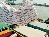 Chính phủ Ai Cập xem xét bỏ lệnh cấm xuất khẩu gạo 