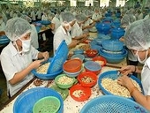 Mỹ khuyến cáo các DN chế biến nông sản Việt Nam