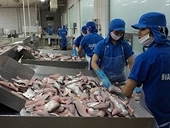 Vasep phản ứng trước thông tin phiến diện về tôm trên Bloomberg