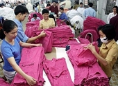 FTA Việt Nam và Liên minh hải quan: Cơ hội mở rộng thị trường xuất khẩu