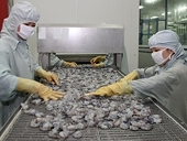 Việt Nam-WTO hội thảo về tranh chấp thương mại 