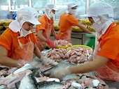 Mỹ bỏ rà soát hành chính sản phẩm của Agifish