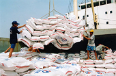 Đẩy mạnh xuất khẩu gạo sang thị trường Nhật Bản