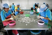 Ngành tôm Thái Lan lên tiếng trước vụ kiện chống trợ cấp 