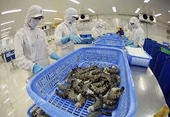 Vụ kiện chống trợ cấp tôm VN tại Mỹ: Người tiêu dùng thiệt nhất!
