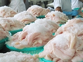 POR8: DOC chọn Indonesia để tính thuế chống bán phá giá cá tra Việt Nam 