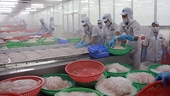 VASEP phản đối phán quyết về cá tra