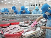Việt Nam có thể sẽ kiện DOC ra tòa án thương mại
