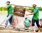 Kinh nghiệm đối phó vụ kiện phòng vệ thương mại