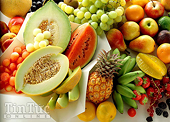 Việt Nam-Hà Lan ký thỏa thuận hợp tác về rau quả 