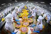 Mặt hàng chủ lực nông thủy sản có dấu hiệu chững lại