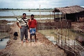FDA sẽ thanh tra ngành tôm Bangladesh 
