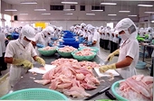 Đi tìm lý do khiến xuất khẩu thủy sản sụt giảm mạnh
