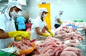 Góp ý về biện pháp phòng vệ thương mại của EC