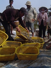 Tận dụng ưu đãi thuế từ thị trường Nga