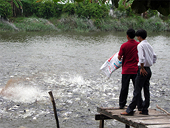  Xuất khẩu cá tra có thêm thị trường mới