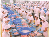 DOC tăng thuế chống bán phá giá đối với cá tra