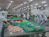  Cá tra Việt Nam bị chặn đường vào Mỹ