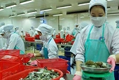 Bộ Thương Mại Hoa Kỳ ra quyết định sơ bộ trong điều tra chống trợ cấp đối với tôm nước ấm đông lạnh nhập khẩu từ Việt Nam