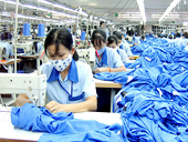 FTA Việt Nam-EU: Tăng cơ hội cho các doanh nghiệp