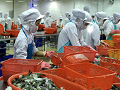 Tôm đông lạnh Indonesia, Ecuador “thoát” thuế chống trợ cấp