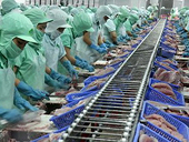 Triển vọng xuất khẩu hàng Việt Nam vào Braxin