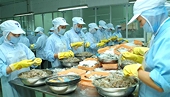 Xuất khẩu những tháng cuối năm: Nhiều lo lắng