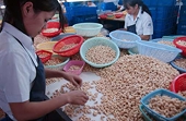 EU-Việt Nam khai mạc vòng đàm phán thứ 4 về FTA 
