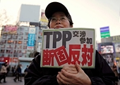 Đàm phán TPP bế tắc về vấn đề dỡ bỏ thuế quan