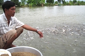 Hạ viện Mỹ bác bỏ chương trình giám sát cá da trơn