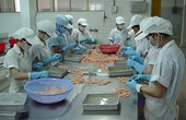VASEP phản đối kết quả cuối cùng thuế chống trợ cấp tôm