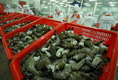 Thông cáo báo chí: Việt Nam không bán phá giá tôm trên thị trường Hoa Kỳ