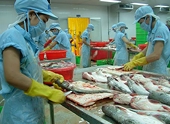 Nhiều cơ hội đảo ngược quyết định của DOC với cá tra, basa 