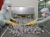Mỹ không áp thuế chống trợ cấp với tôm Việt Nam