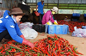 Cơ hội xuất khẩu rau củ quả vào thị trường Indonesia